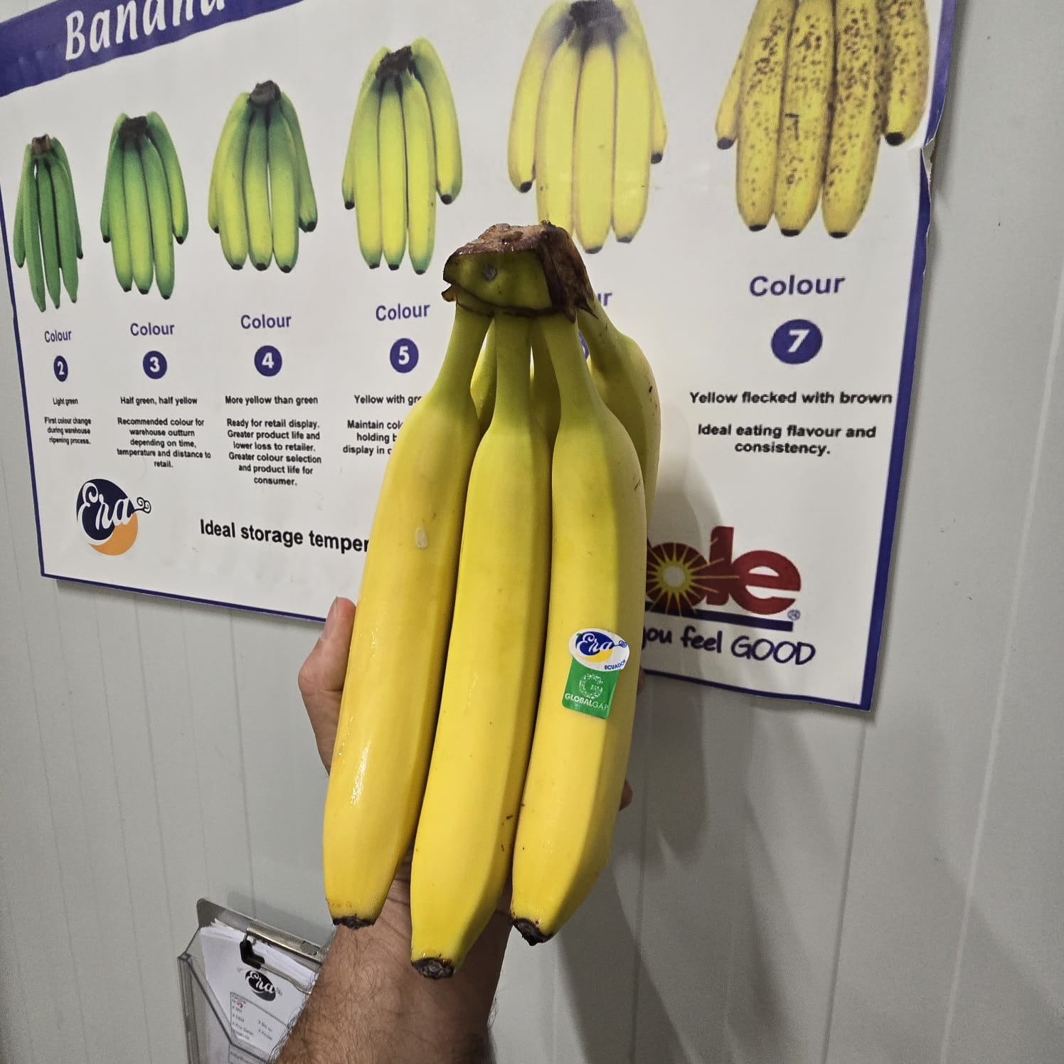 Bananas